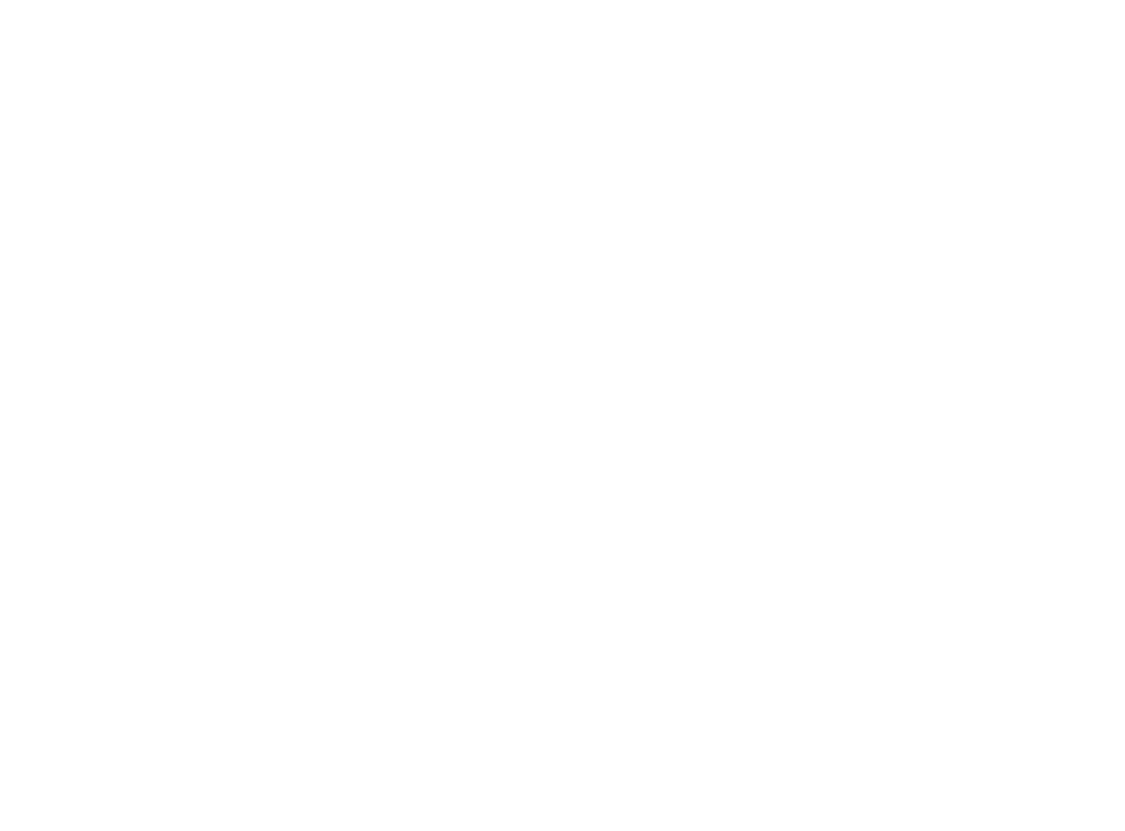 European Cleaners